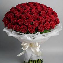 Букет 101 Красная роза Блэк Мэджик в Покровский городок